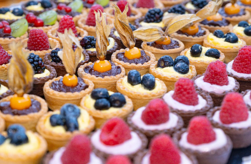 media.ALEXANDER24-17